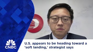 U.S. appears to be heading toward a 'soft landing,' strategist says screenshot 4
