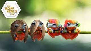 The Frogs Are Only Going To Get Gayer | The Michael Knowles Show Ep. 197