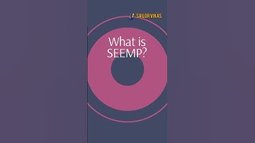 What is SEEMP? | Ship Energy Efficiency Explained ⛽🌿