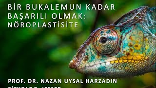 Beynimizi Nasıl Daha Çok Geliştirebiliriz? Nöroplastisite.