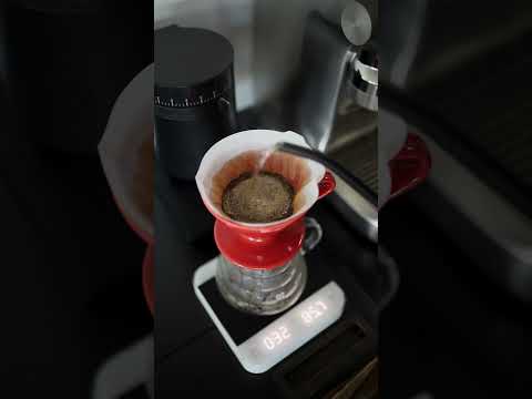 Hario V60 3