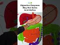 Digestive Enzymes May Not Solve Acid Reflux