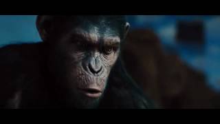 Rise Of The Planet Of The Apes - No Scene