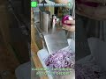 Multifunction Vegetable Cutter for Commercial Kitchens Slicing Dicing Shredding Stripping