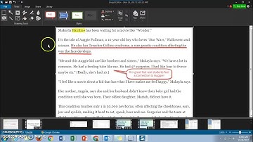 Annotating Text with SnagIt Screen Capture