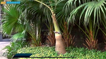 JJRC H6C 2.4G 4CH 6-axis Gyro RC Quadcopter Remote Control Toys RM2070R