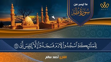 ما تيسر من سورة طه بصوت أحمد سالم
