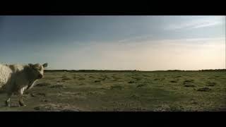 Gone Wallace - Shy Tony Scenic