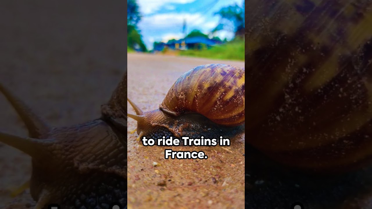 7  SURPRISING Facts about France. 