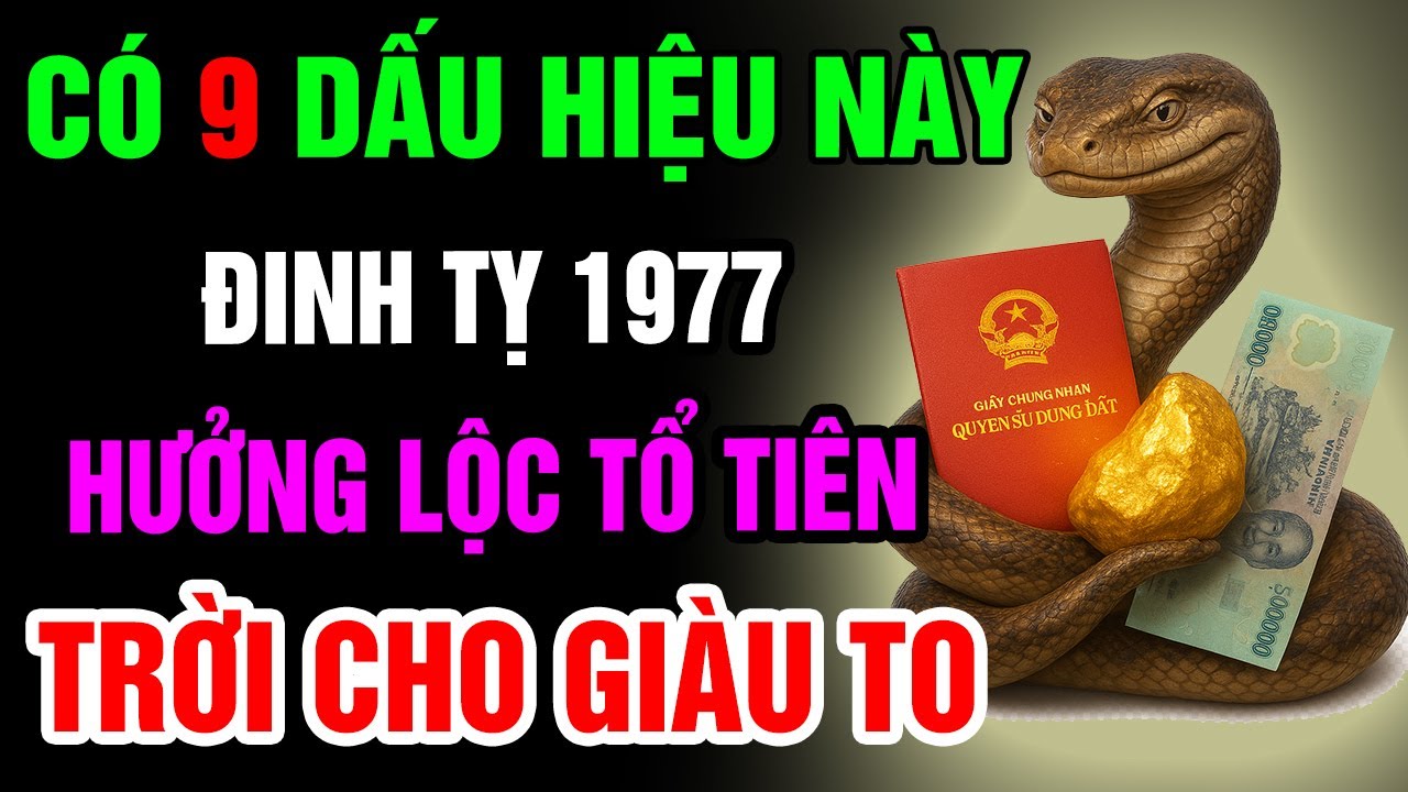 9 Dấu Hiệu Cho Thấy  Đinh Tỵ 1977 Có Căn Duyên Với Phật, Được Trời Thương Phật Độ, Hưởng Lộc Tổ Tiên