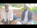 Towfiq Ali Heydar Kunoo Guutuu Isaa Daawwadhaa Subscribe Share Like Comment Godhaa 