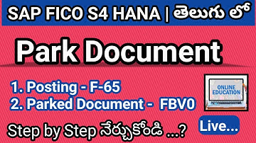 SAP FICO Park Document F-65 and Post Parked Document FBV0 in Telugu - By Lokesh1