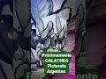 EN EL PROXIMO VIDEO HABLAMOS  DE LA CALATHEA PICTURATA ARGENTEA