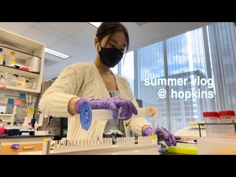 summer days in the life of a pre-med student at johns hopkins university