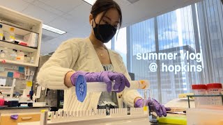 summer days in the life of a pre-med student at johns hopkins university