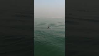 Day left 113