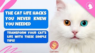 14 The Cat Life Hacks You Never Knew You Needed - Transform Your Cat's Life with These Simple Tips!