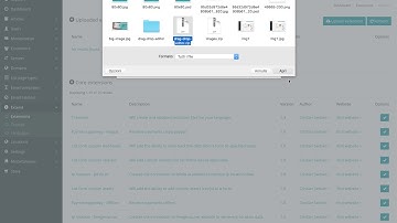 Drag&Drop Editor for MailWizz - Installation