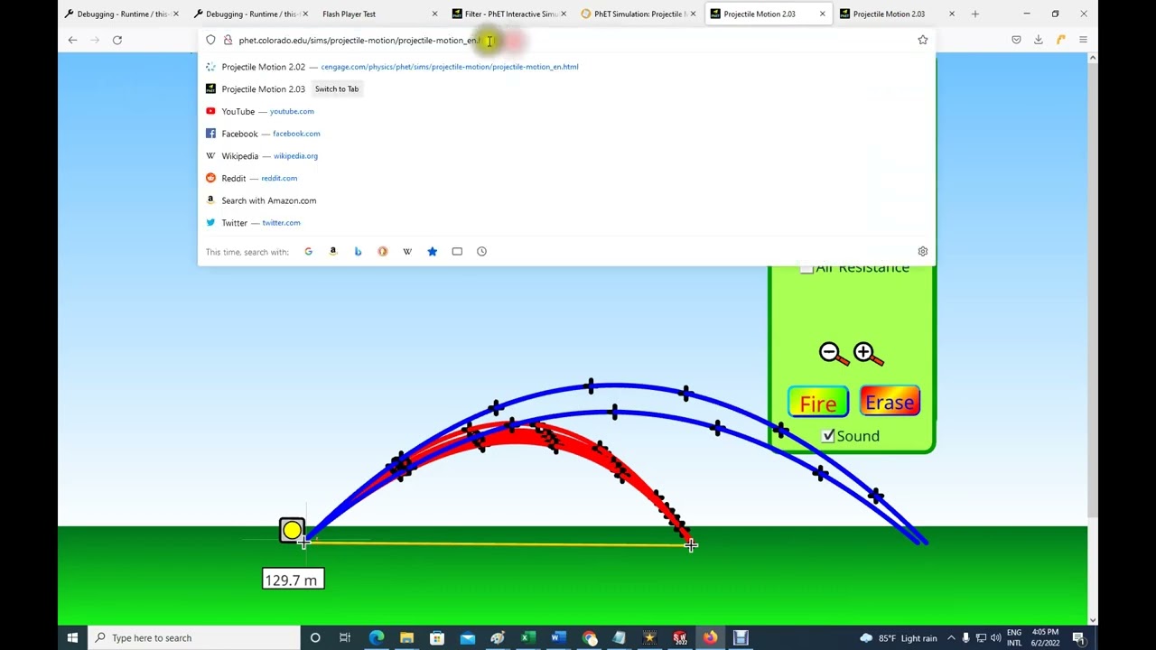 Ruffle (software) - Wikipedia