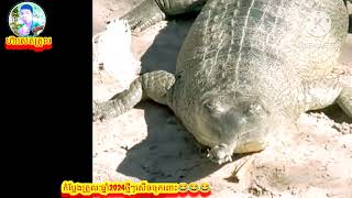 រឿងកំប្លែងត្រូល:ឆ្នាំ2024ថ្មីៗសើចចុកពោះសំណើច😂😂😂