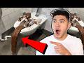 FAKE POOP In STORES PRANK FAKE POOP In STORES PRANK