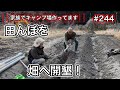 【家族でキャンプ場作ってます】 # 244 不耕作地の田んぼを開墾！自然薯畑へ