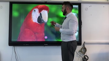 How to use different forms of media on the whiteboard app on the ActivPanel v6