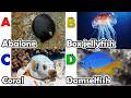 Toddler Learning - Learn Ocean Animals | Educational Videos for Kids | Learning Videos for Toddlers