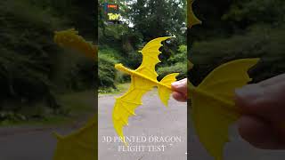 3D printed dragon flight test  Iprintmytoy
