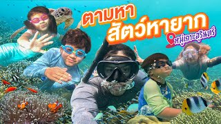 ตะลุยภาคใต้ ภารกิจตามหาสัตว์หายากใต้ทะเล หมู่เกาะสุรินทร์!! | กุมารTravel EP.288