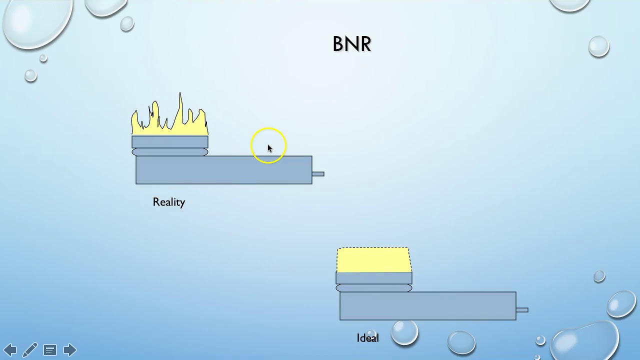Ultrasound 4 BNR