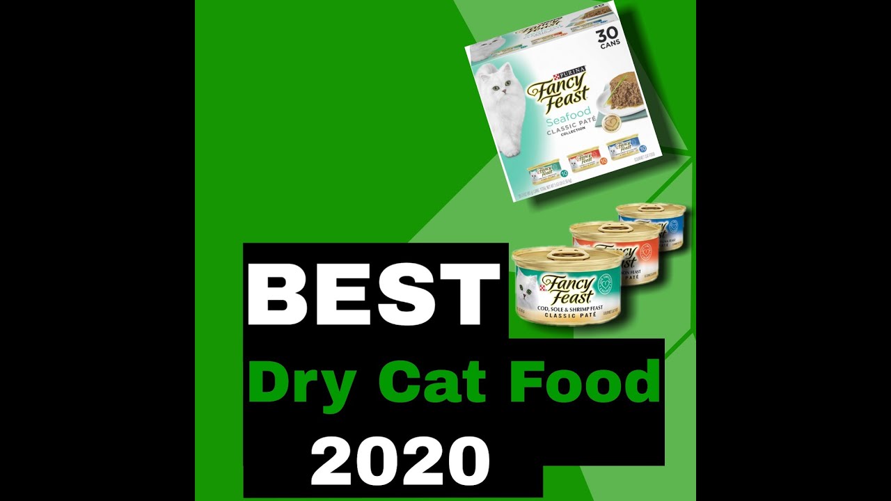 Best dry cat food what is best dry food for cat (2020) YouTube