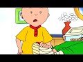Caillou and the Emergency | Caillou Cartoon