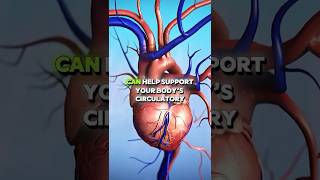 7 Surprising Foods For Healthy Circulation
