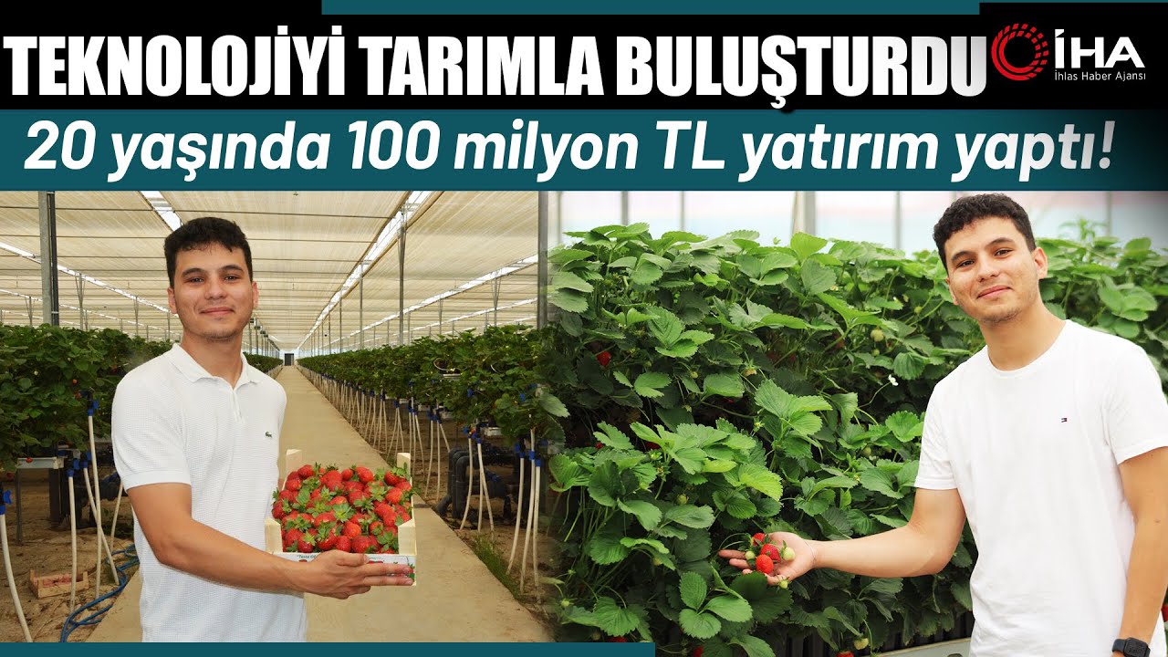 100 Milyon TL'lik Yatırımla Çilek Tesisi Kurdu 28 Dönümde Yetiştirip Satıyor
