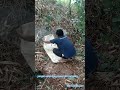 Detik..menegangkan saat binatang aneh itu tertangkap #shorrfeed  #binatanganeh #menegangkan #kocak