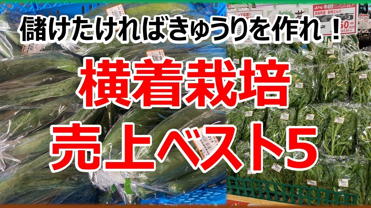 横着栽培で売れる野菜　2022年 売上ベスト5