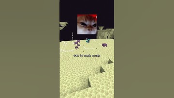 You Are Getting Shulker Shells WRONG!!! #minecraft