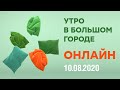 УТРО В БОЛЬШОМ ГОРОДЕ - от 10.08.2020 - ОНЛАЙН