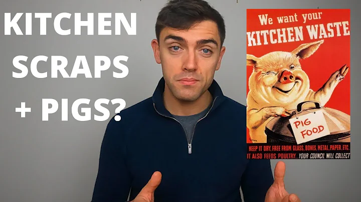 CAN YOU FEED PIGS KITCHEN SCRAPS? | TECHNICAL #28