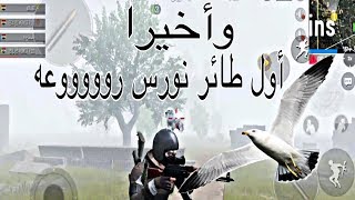 وأخيرا اول طائر النورس بالتحديث الجديد روعة  ببجي موبايل PUBG MOBILE