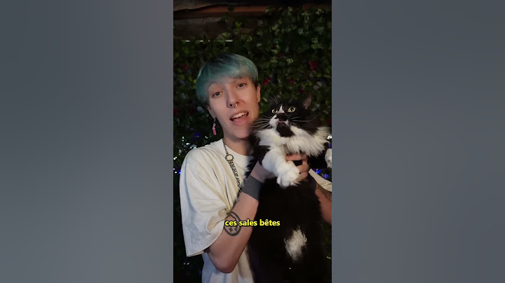 Vous êtes team chien ou chat ? 😱 #shorts #firstshortvideo #pourtoi #humour