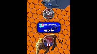 Kiba VS The Bear || Collab Ft. @ShereKhaniFanboy