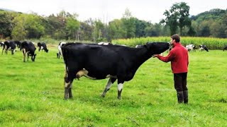 Russo Family Farm, Vermont