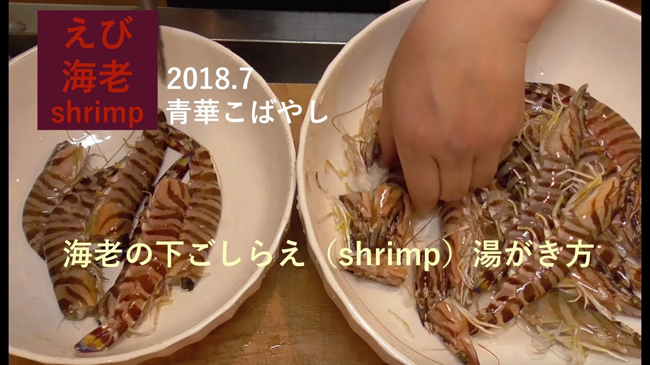 海老の下ごしらえ Shrimp 車海老 湯がき方 ゆでかた ミシュラン 青華こばやし 和食 Tokyo Seikakobayashi Japanese Food Youtube