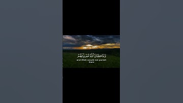 عودة إلى القرآن الكريم #ذكر #اكسبلور #تدبر_القرآن #المصحف #توبة