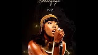 Igo - Electrifaya