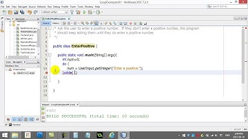 AP Computer Science   021   Loops Example Positive Number