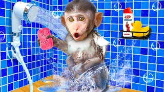 Baby Monkey KiKi brush teeth and bathing in the toilet and play with ducklings | KUDO ANIMAL KIKI