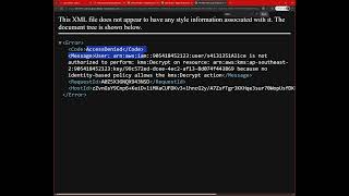 CS Assignment 3 Task 3 Alice Demo